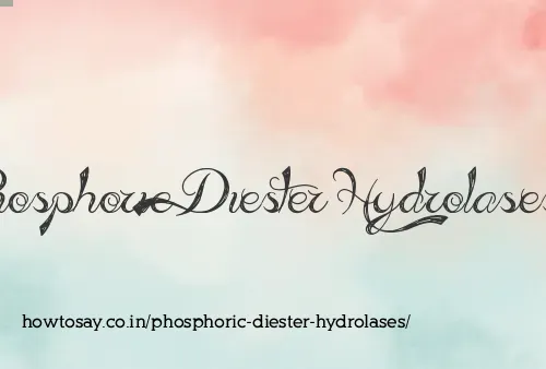 Phosphoric Diester Hydrolases