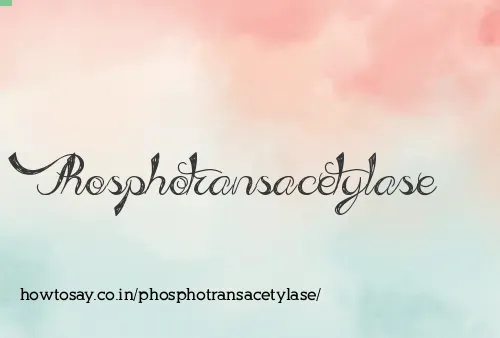 Phosphotransacetylase