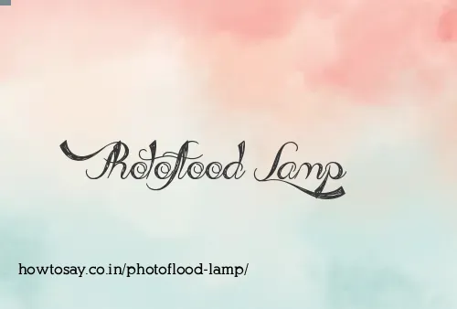 Photoflood Lamp