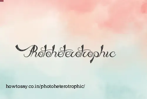 Photoheterotrophic
