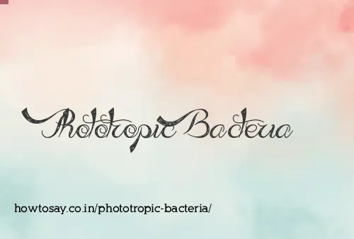 Phototropic Bacteria