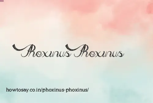 Phoxinus Phoxinus