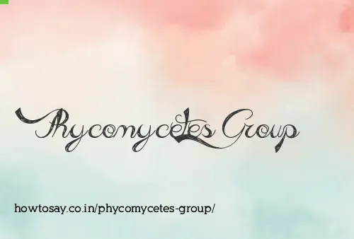 Phycomycetes Group