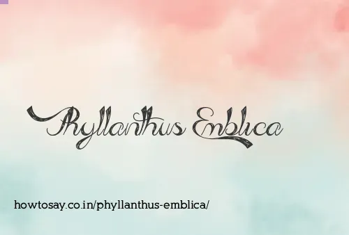 Phyllanthus Emblica