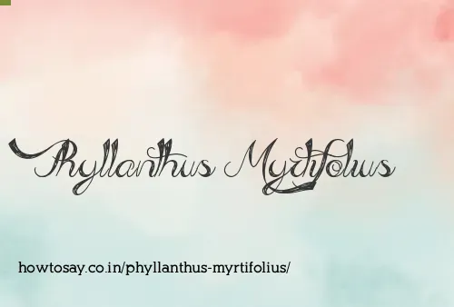 Phyllanthus Myrtifolius