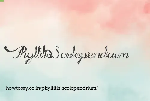 Phyllitis Scolopendrium