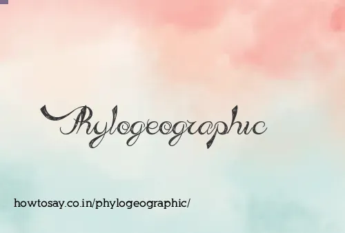 Phylogeographic