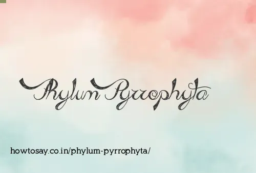 Phylum Pyrrophyta