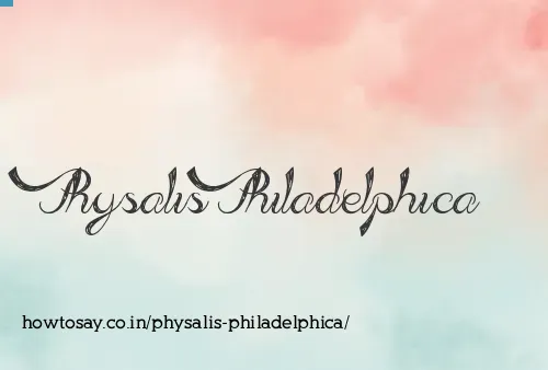 Physalis Philadelphica