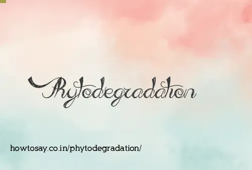 Phytodegradation