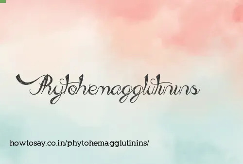 Phytohemagglutinins