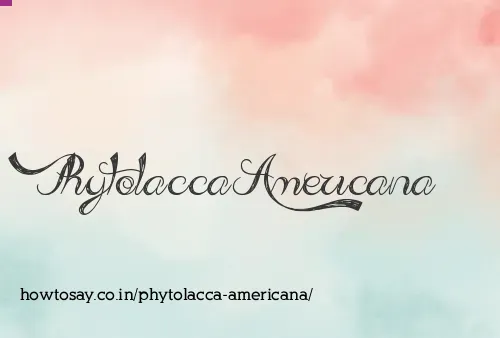 Phytolacca Americana