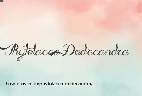 Phytolacca Dodecandra