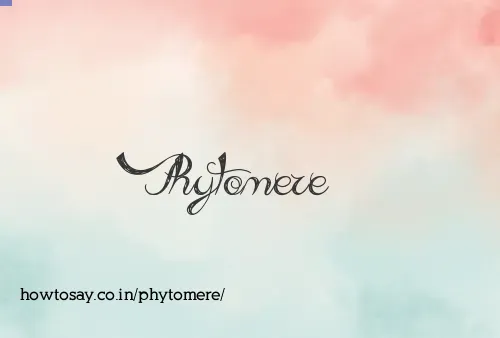 Phytomere