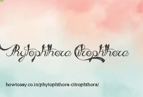 Phytophthora Citrophthora