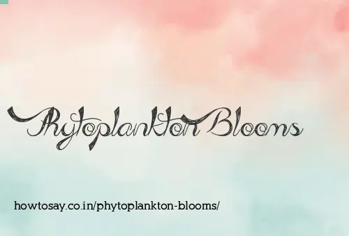 Phytoplankton Blooms