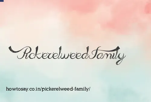 Pickerelweed Family