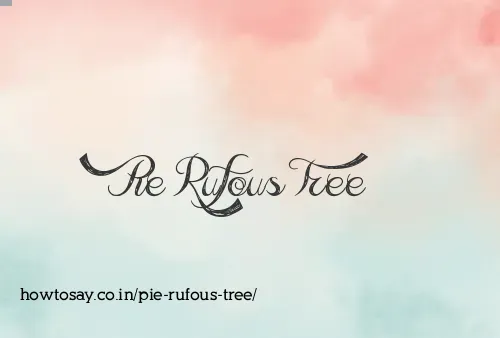Pie Rufous Tree