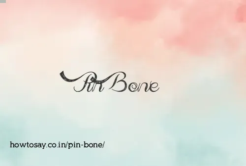 Pin Bone