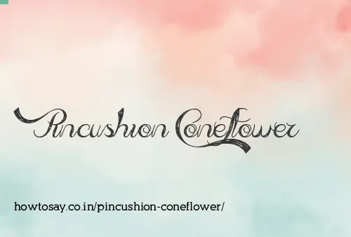 Pincushion Coneflower