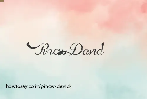 Pincw David