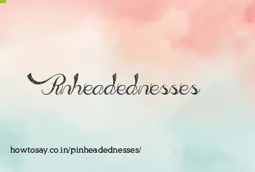 Pinheadednesses