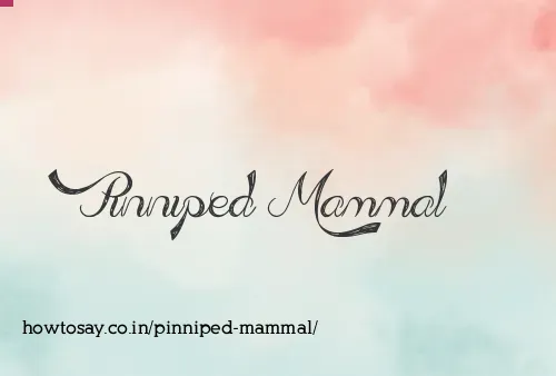 Pinniped Mammal