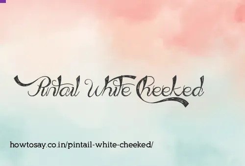 Pintail White Cheeked