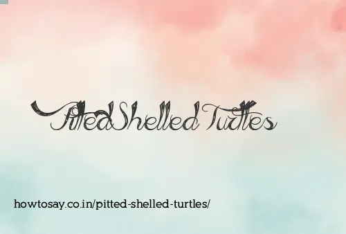 Pitted Shelled Turtles