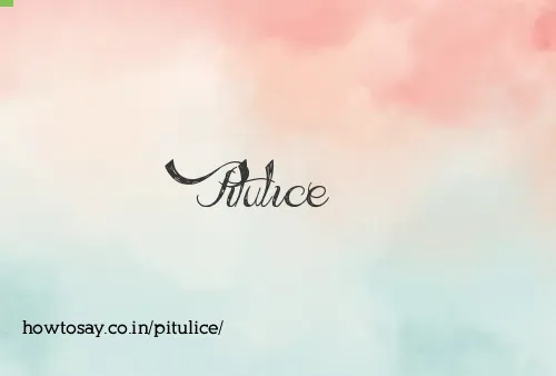 Pitulice