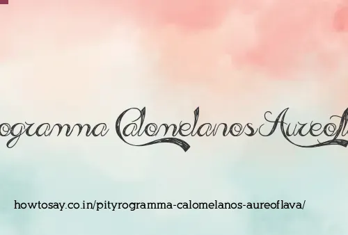 Pityrogramma Calomelanos Aureoflava