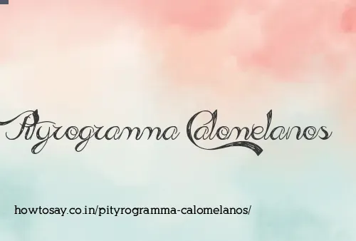 Pityrogramma Calomelanos