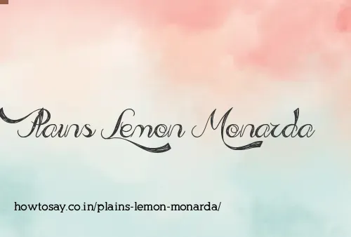 Plains Lemon Monarda