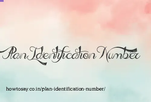 Plan Identification Number