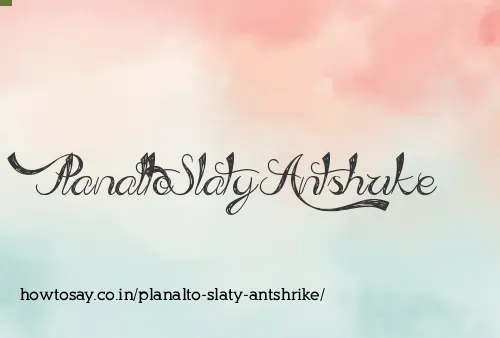 Planalto Slaty Antshrike