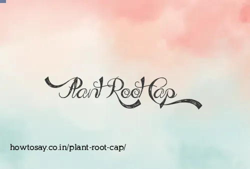 Plant Root Cap