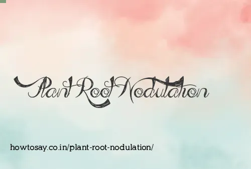 Plant Root Nodulation