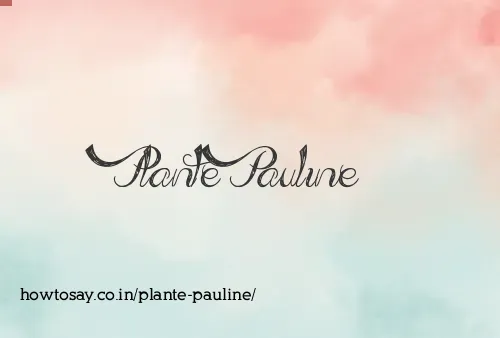 Plante Pauline