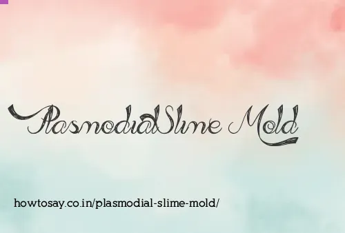 Plasmodial Slime Mold