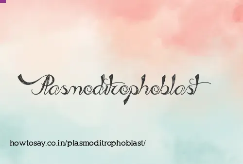 Plasmoditrophoblast