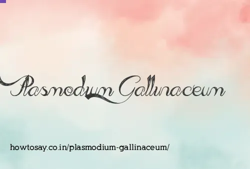 Plasmodium Gallinaceum