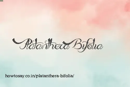 Platanthera Bifolia