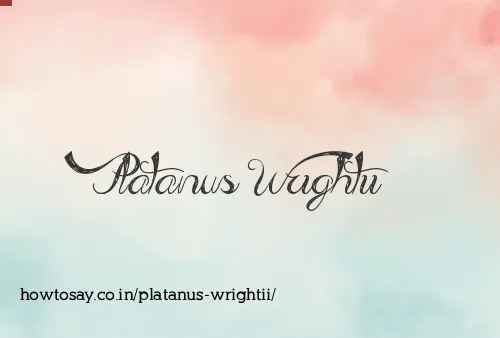 Platanus Wrightii