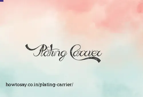 Plating Carrier