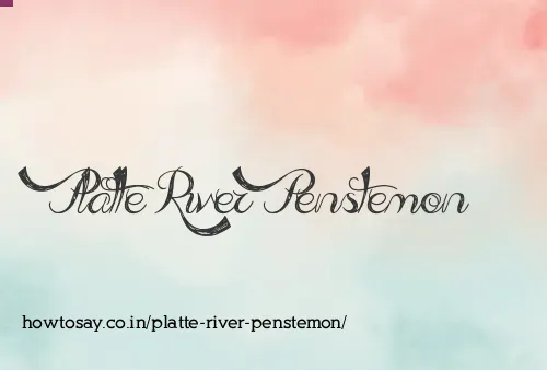 Platte River Penstemon