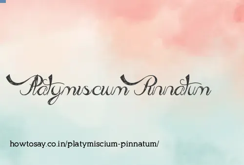 Platymiscium Pinnatum