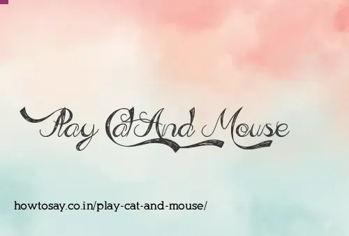 Play Cat And Mouse