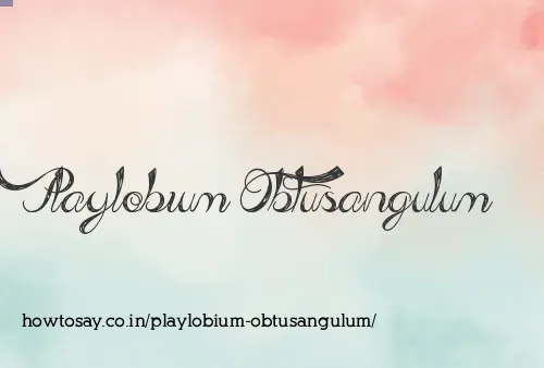 Playlobium Obtusangulum