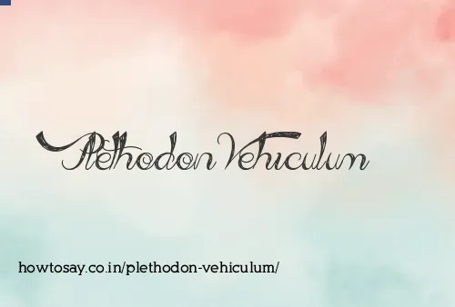 Plethodon Vehiculum