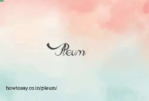 Pleum